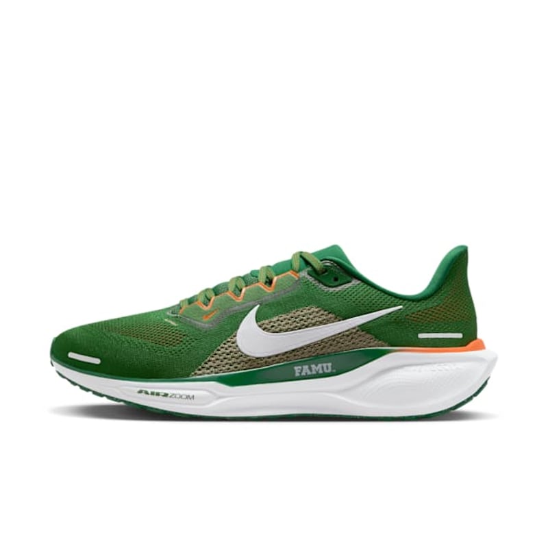 Nike Pegasus 41 FZ5112-300 01