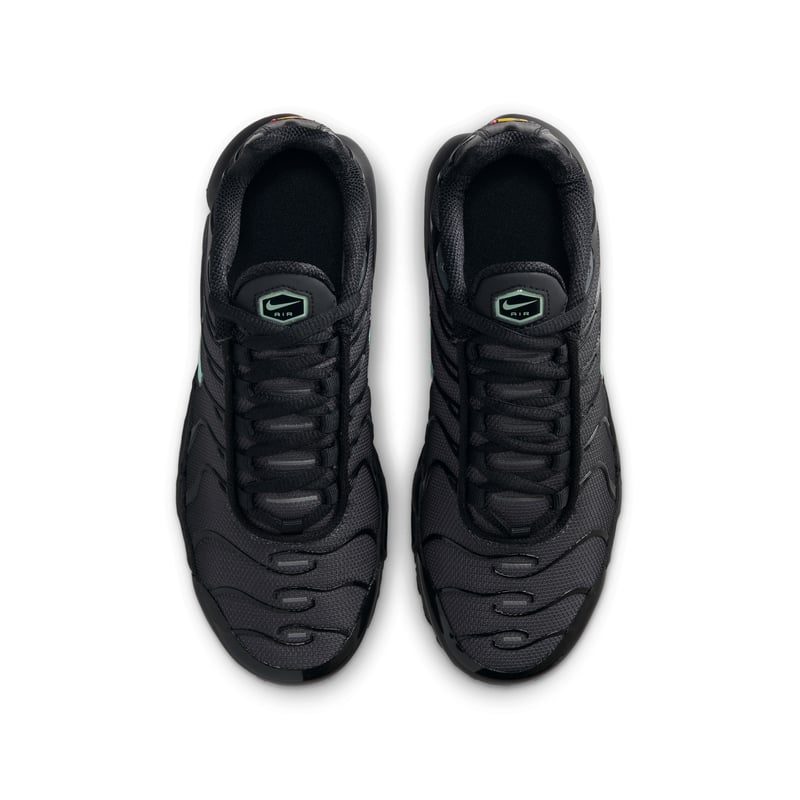 Nike Air Max Plus IF6169-010 04