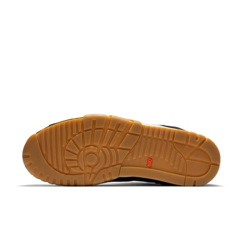 Nike SB Air Trainer 1 x Polar Skate Co CI6892-001 02