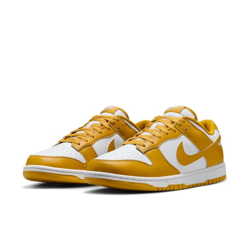 Nike Dunk Low HF5441-109 05