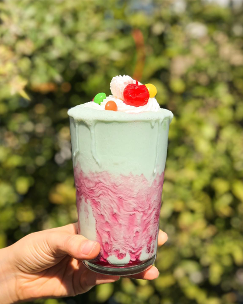 Vegan Ice Cream & Coffee 1601