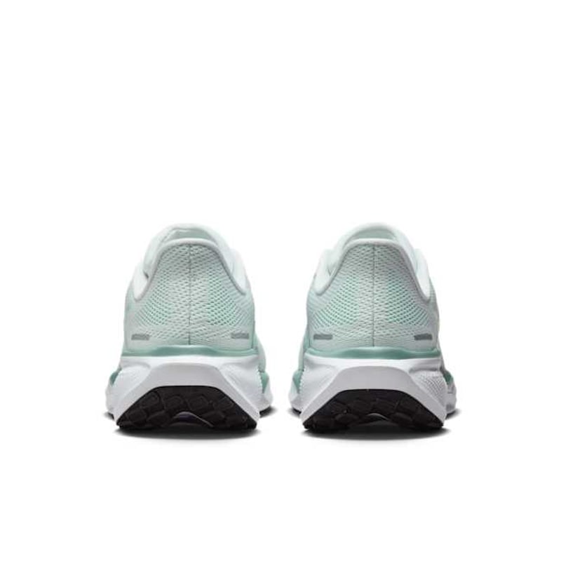 Nike Pegasus 41 FD2723-113 06