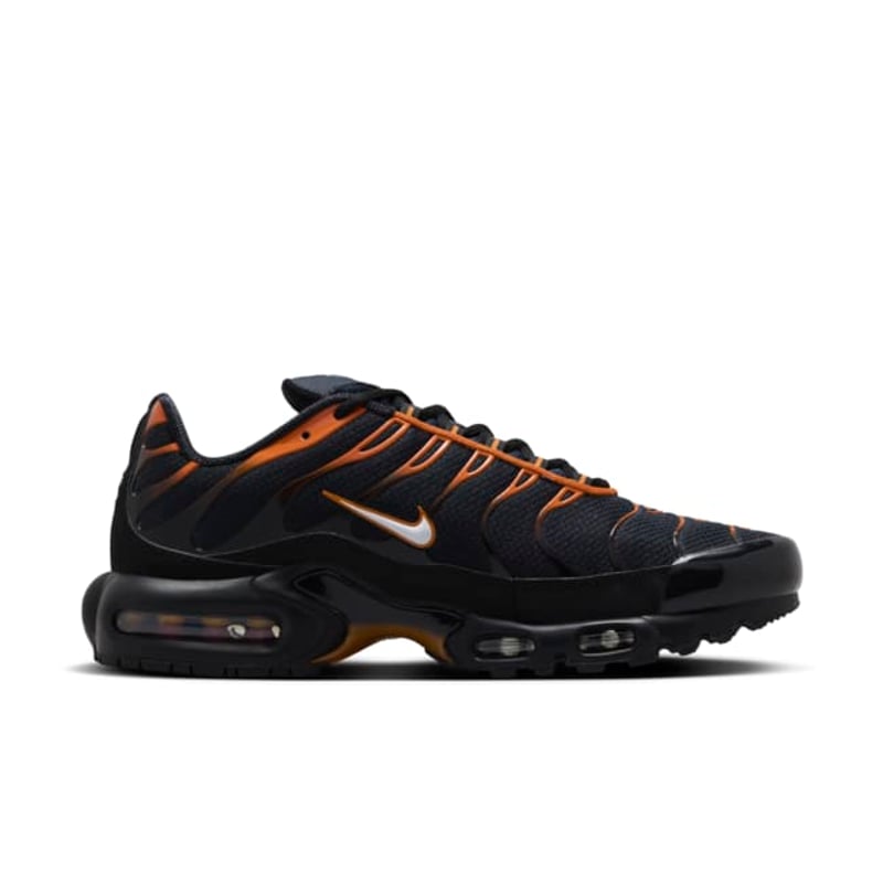 Nike Air Max Plus FN6949-400 03