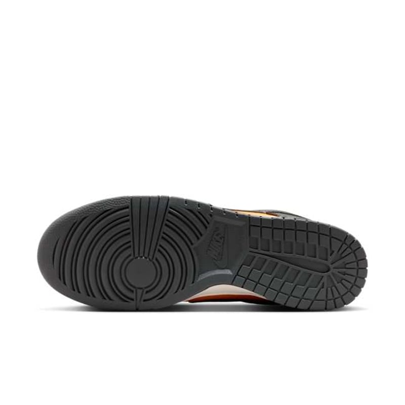 Nike Dunk Low HF5441-700 02