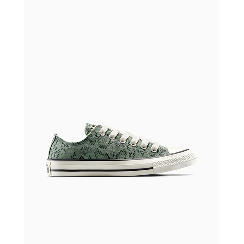Converse Chuck Taylor All Star Low A15811C 01