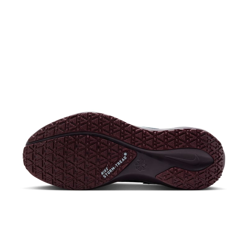 Nike Pegasus 41 GORE-TEX FQ1357-401 02
