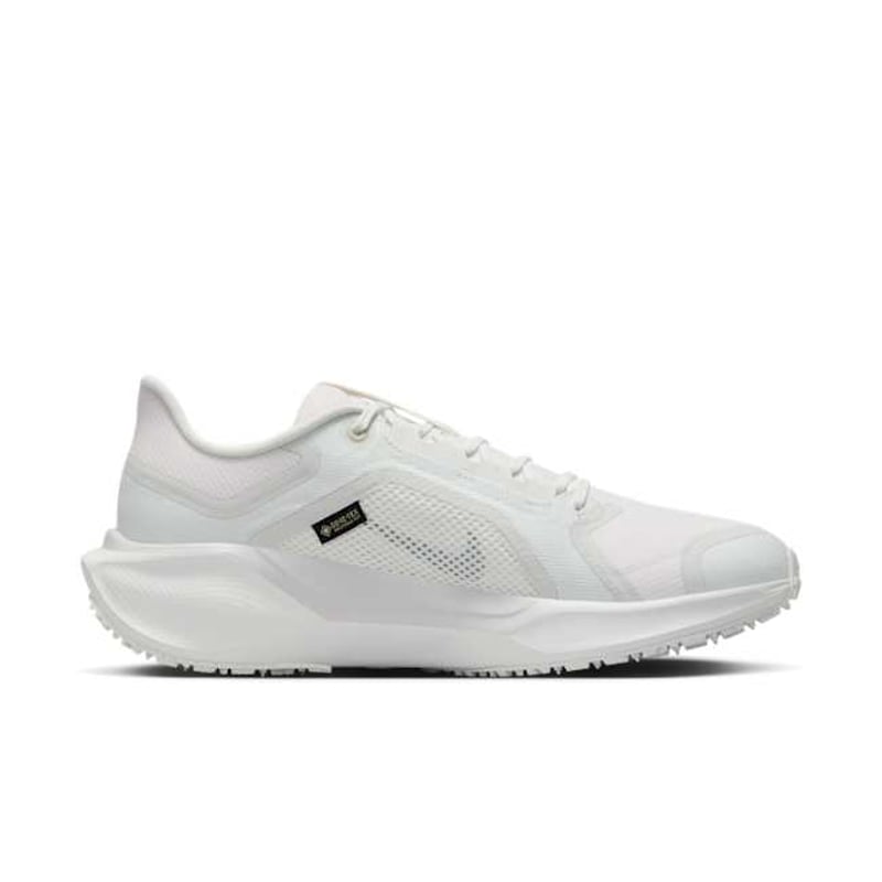 Nike Pegasus 41 GORE-TEX FQ1357-101 03