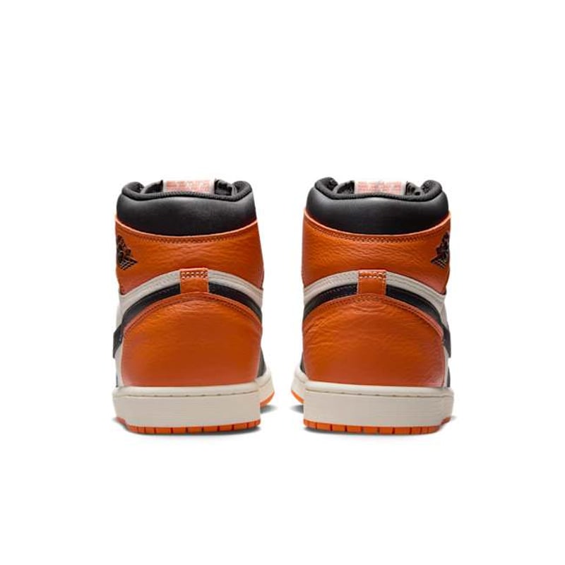 Jordan 1 Retro High OG DZ5485-008 06