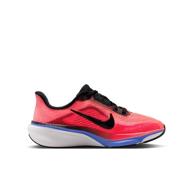 Nike Pegasus 42 IH2306-614 03