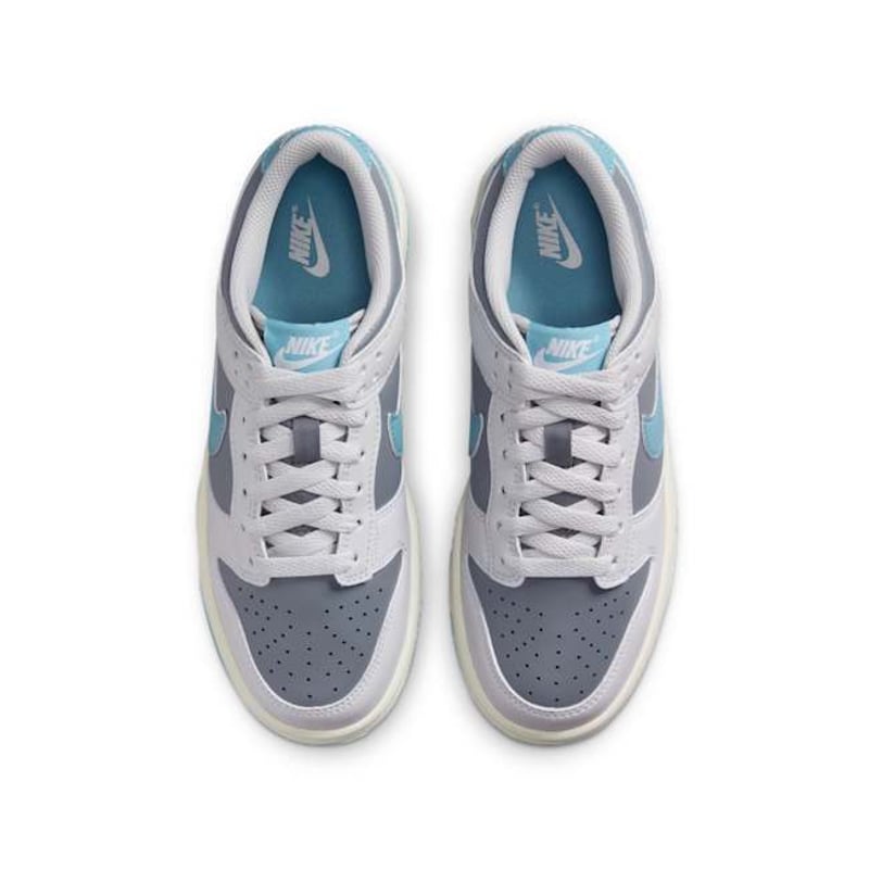 Nike Dunk Low FB9109-008 04