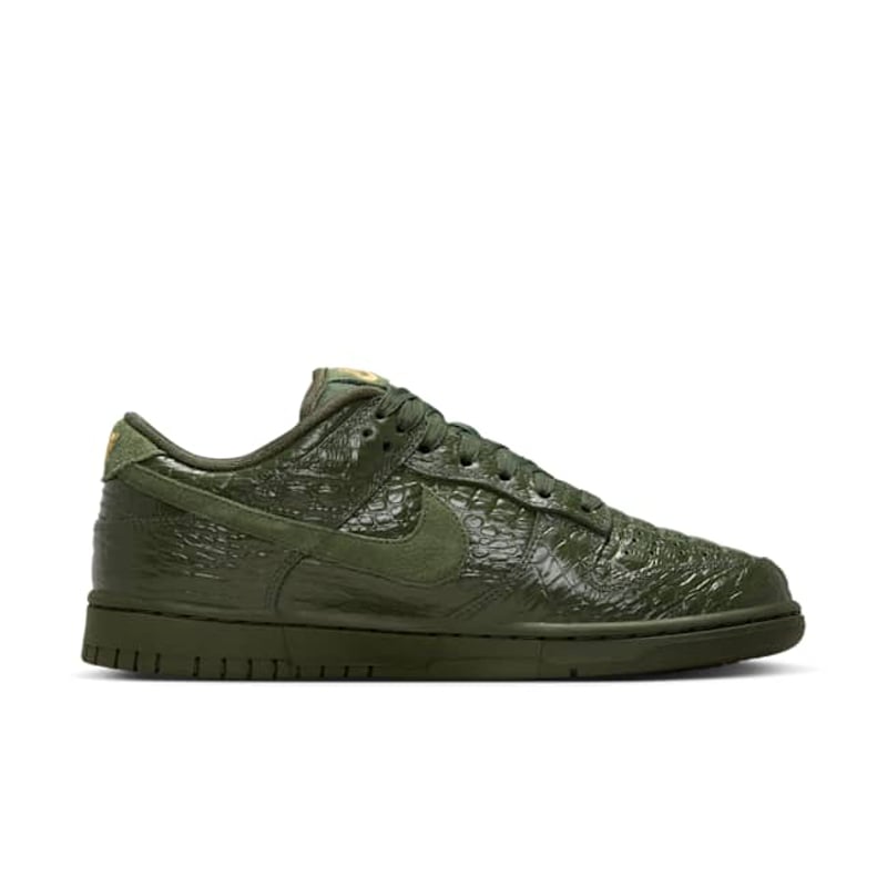 Nike Dunk Low HV4388-300 03