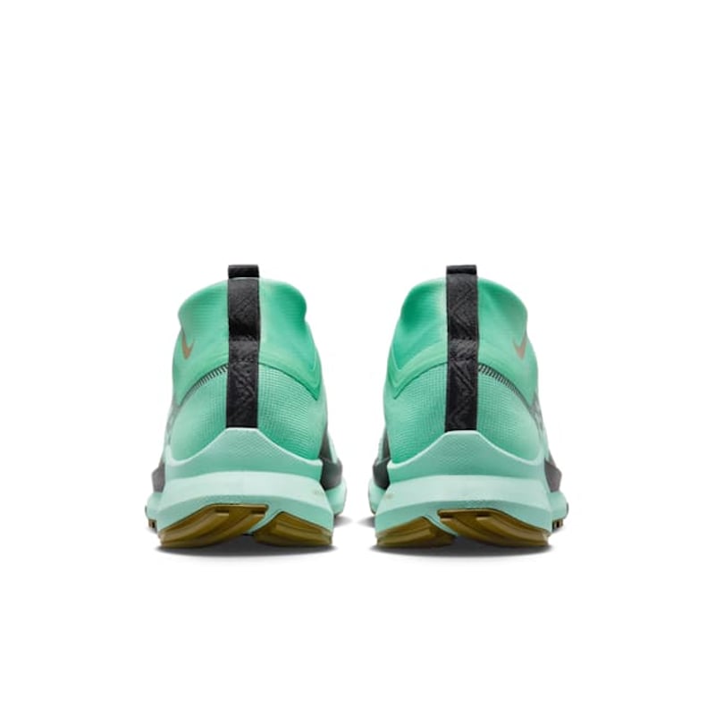Nike Pegasus Trail 4 GORE-TEX DJ7926-301 06