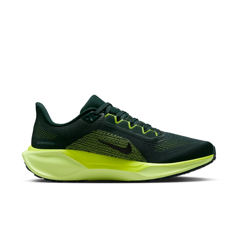 Nike Pegasus 41 FD2723-302 03