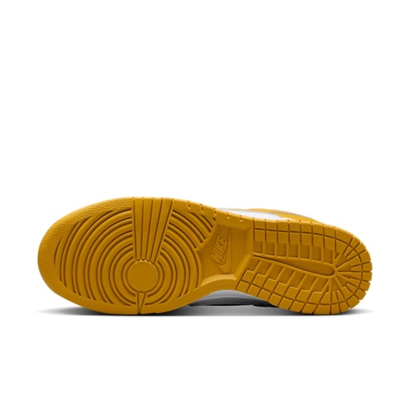 Nike Dunk Low HF5441-109 02