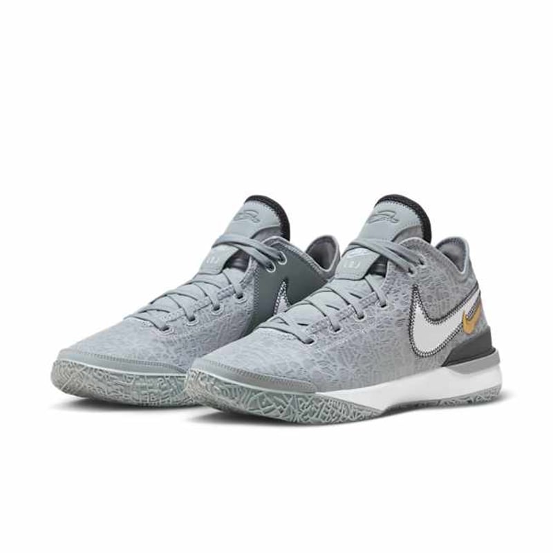 Nike LeBron NXXT Gen EP DR8788-004 05