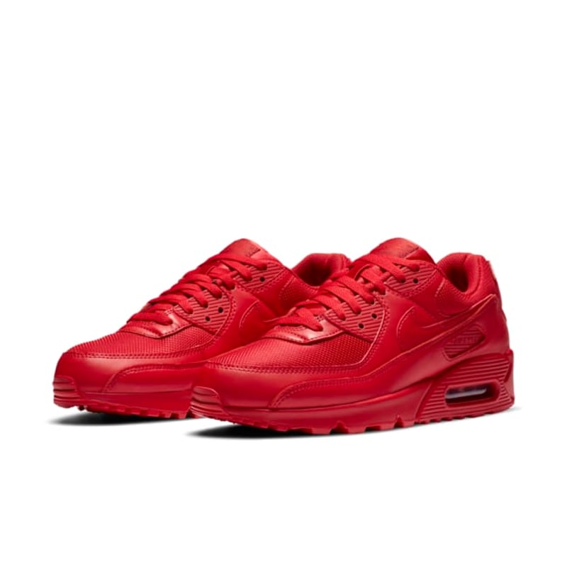 Nike Air Max 90 CZ7918-600 05
