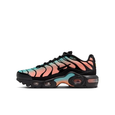 Nike Air Max Plus CD0609-037