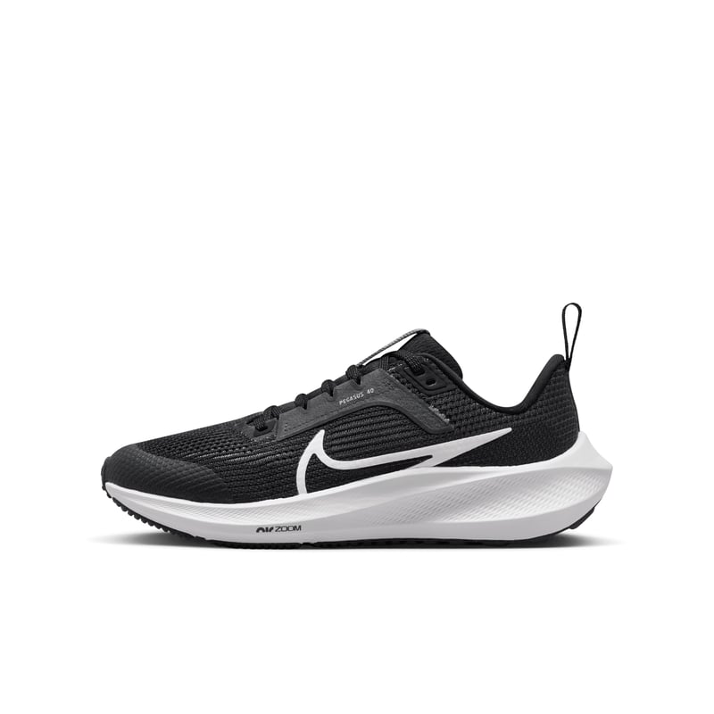 Nike Air Zoom Pegasus 40 DX2498-001 01