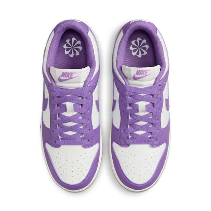 Nike Dunk Low Next Nature DD1873-108 04
