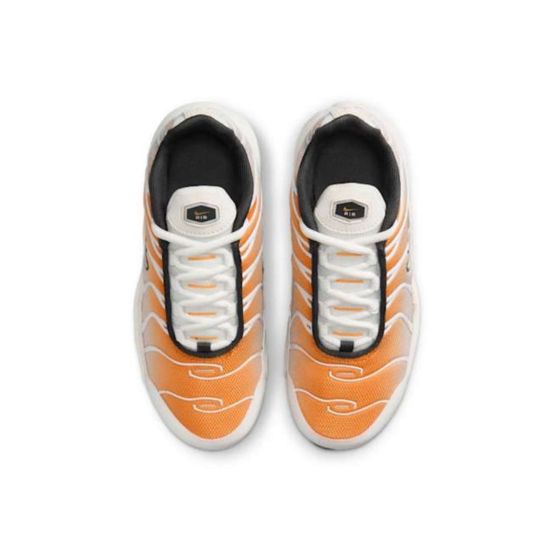 Nike Air Max Plus FZ0023-800 04