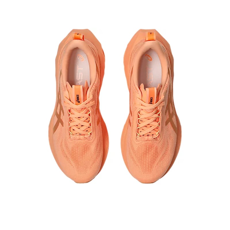 ASICS Novablast 4 LE 1012B688-800 06