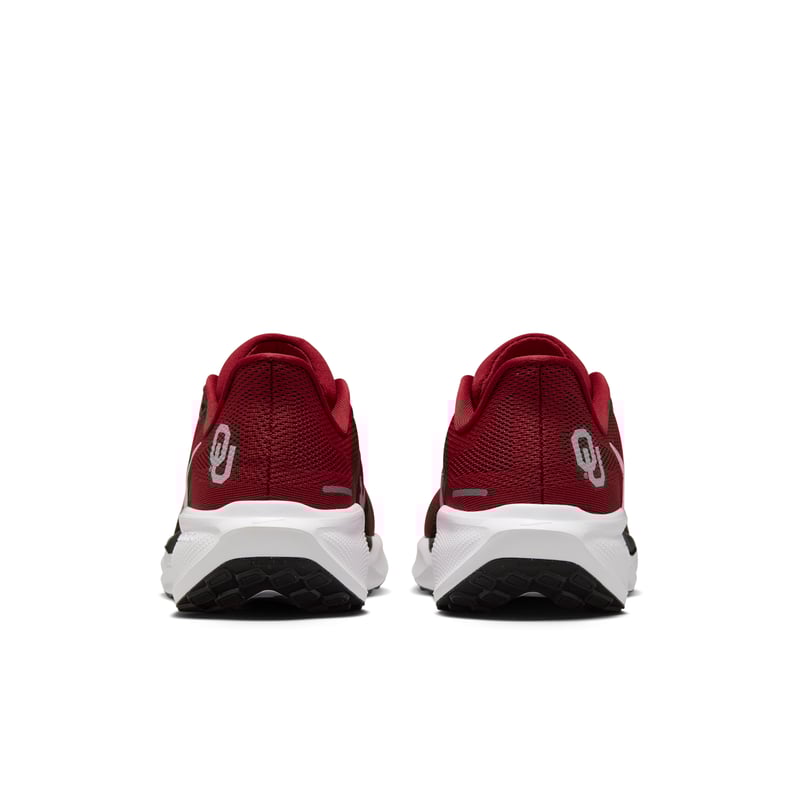 Nike Pegasus 41 FZ5137-601 06