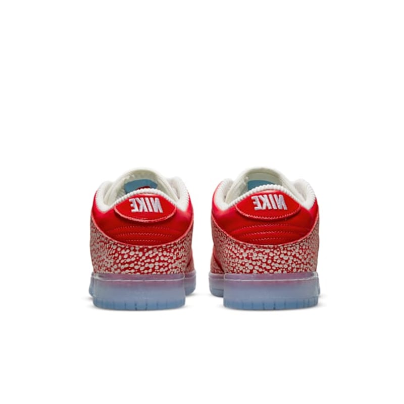 Nike SB Dunk Low x Stingwater DH7650-600 06