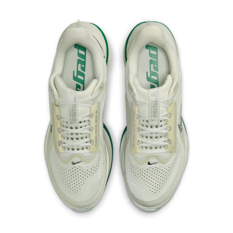 Nike Pegasus Premium HQ2593-008 04