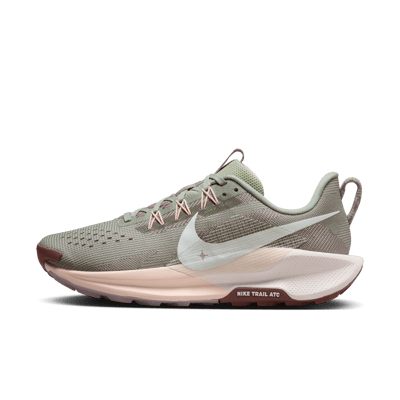 Nike Pegasus Trail 5 DV3865-300 01