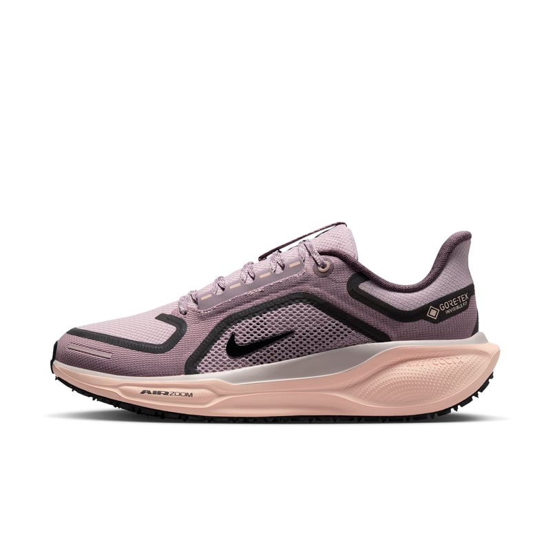 Nike Pegasus 41 GORE-TEX FQ1357-004 01