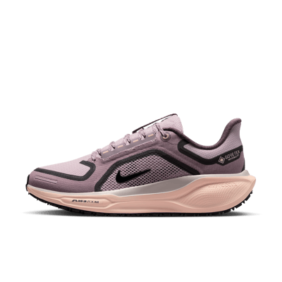 Nike Pegasus 41 GORE-TEX FQ1357-004