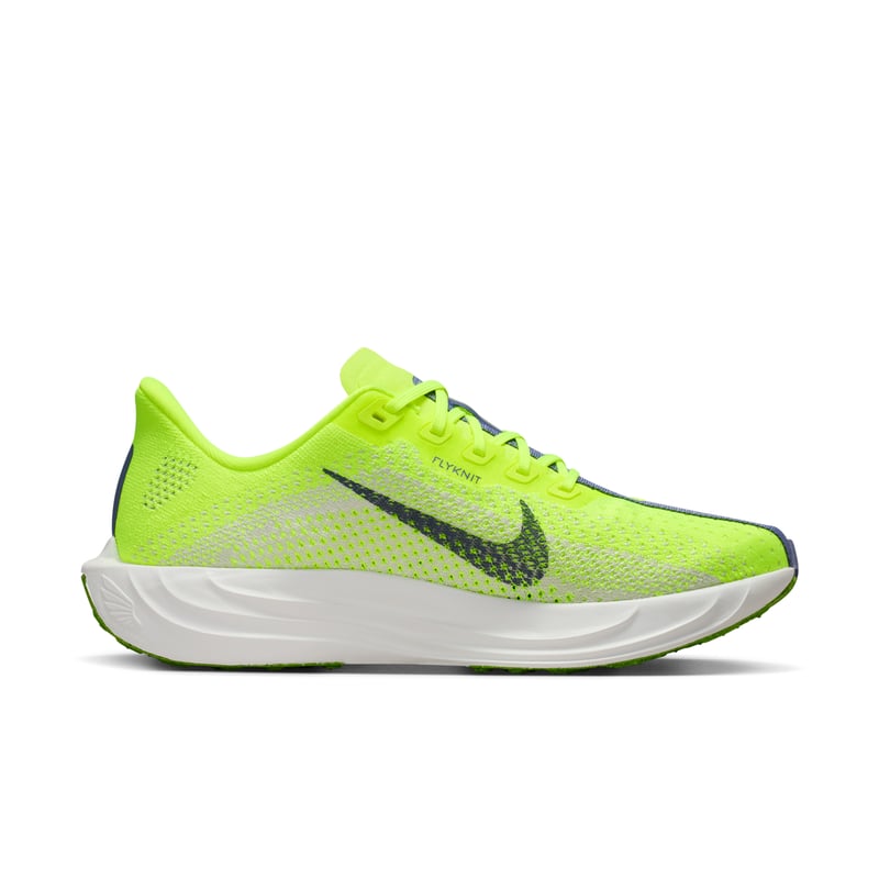 Nike Pegasus Plus FQ7261-703 03