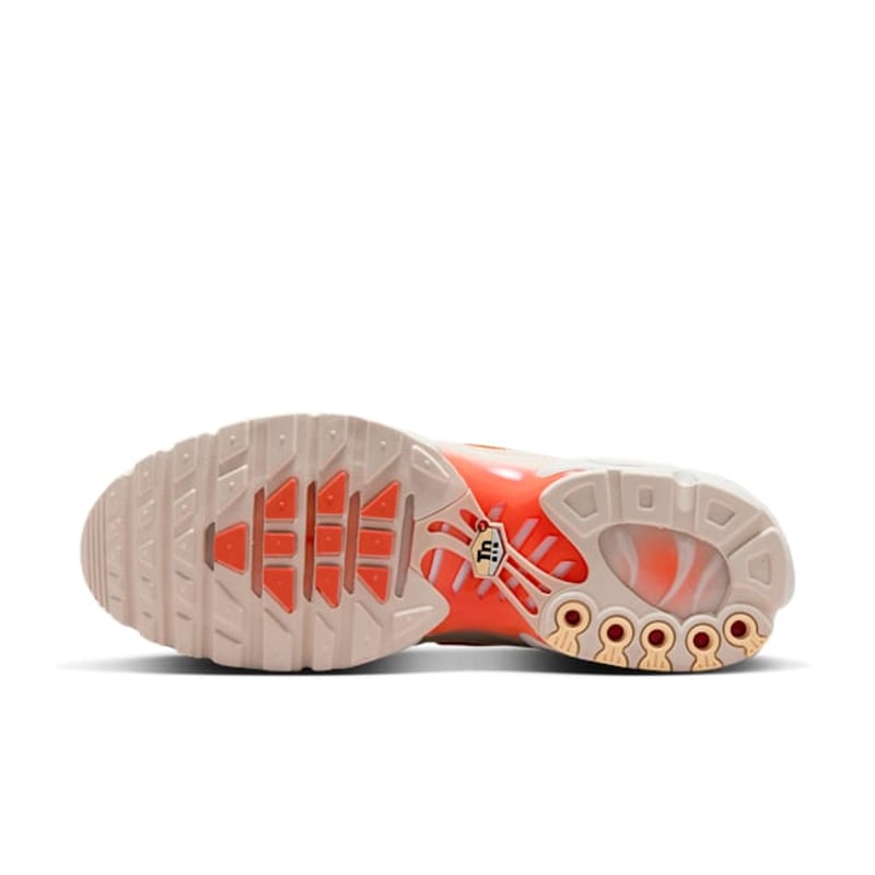 Nike Air Max Plus DM0032-019 02