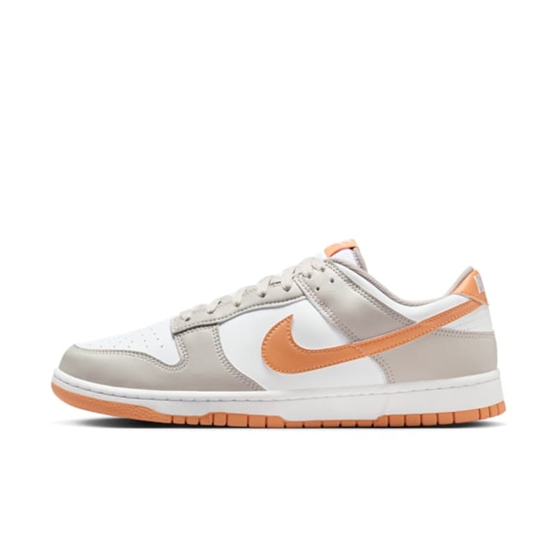 Nike Dunk Low HF5441-110 01