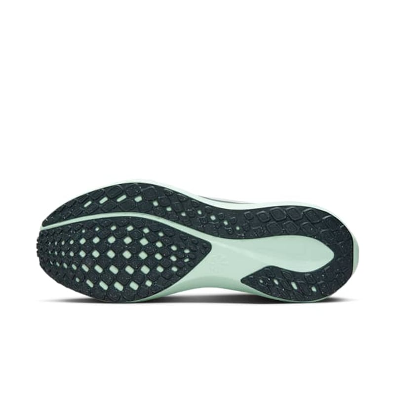 Nike Pegasus 41 FD2723-405 02