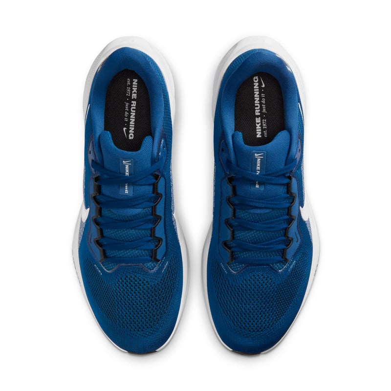 Nike Pegasus 41 x NFL IB3214-400 04