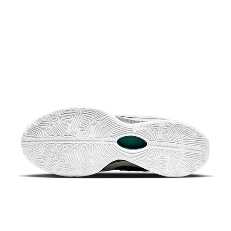 Nike LeBron 21 HF5841-100 02