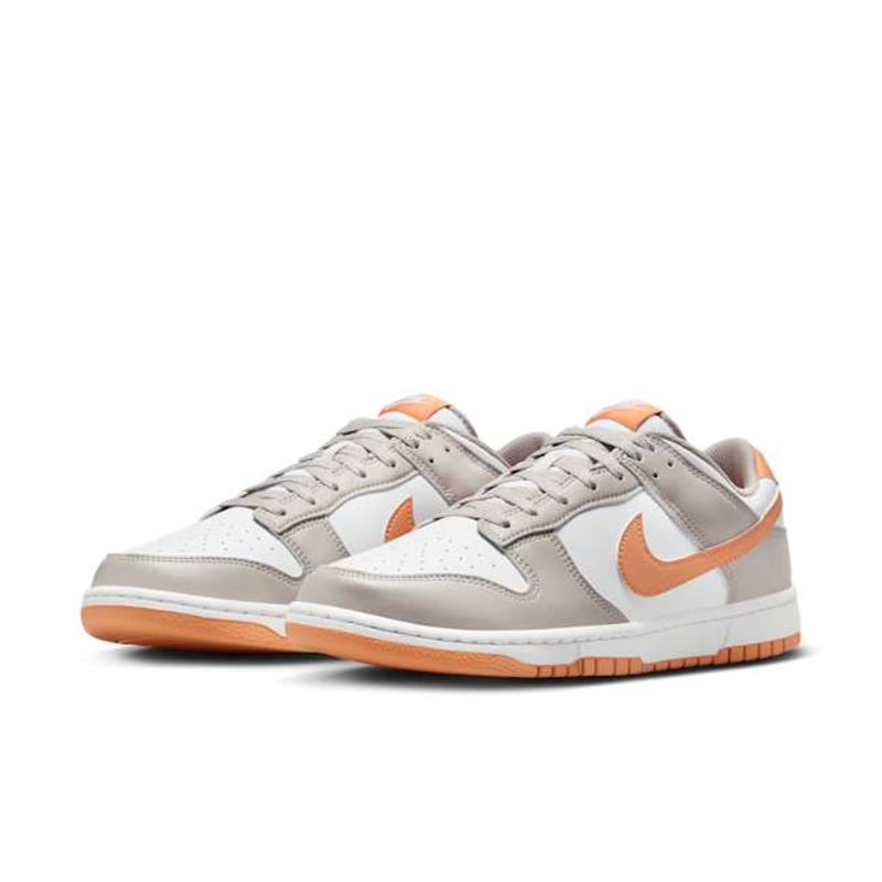 Nike Dunk Low HF5441-110 05
