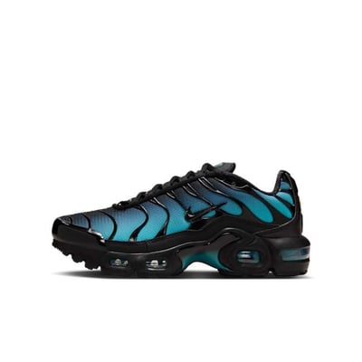 Nike Air Max Plus IF6169-001