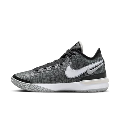 Nike LeBron NXXT Gen DR8784-005