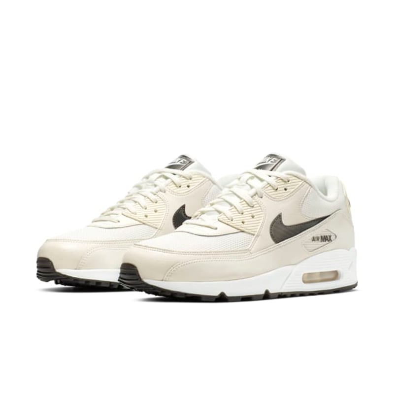 Nike Air Max 90 Essential AJ1285-107 05