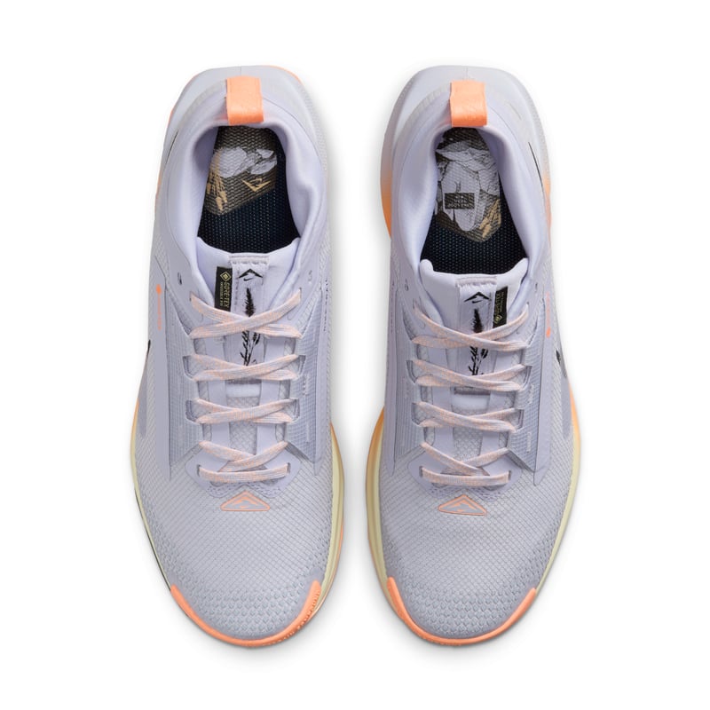 Nike Pegasus Trail 5 GORE-TEX FQ0912-011 04