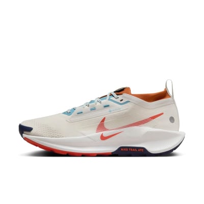 Nike Pegasus Trail 5 GORE-TEX FQ0908-003