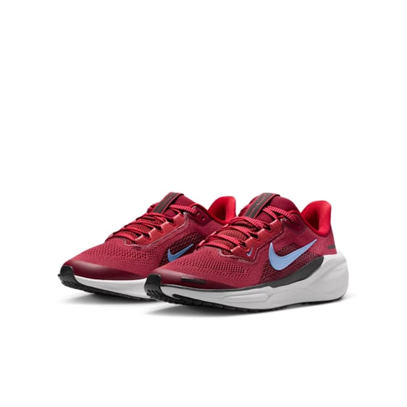Nike Pegasus 41 FN5041-602 05