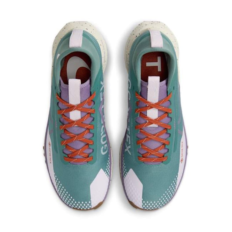 Nike Pegasus Trail 4 GORE-TEX HF5027-361 04