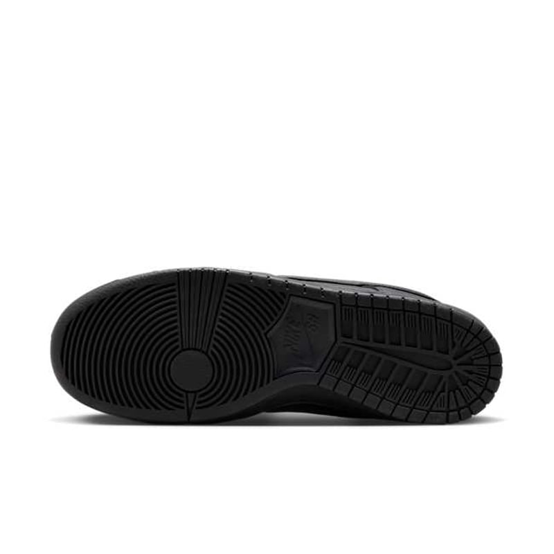Nike SB Dunk Low Pro FJ1674-001 02