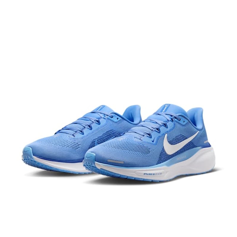 Nike Pegasus 41 FZ5141-400 05