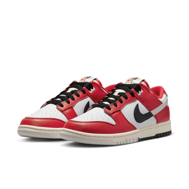 Nike Dunk Low Retro Premium DZ2536-600 05