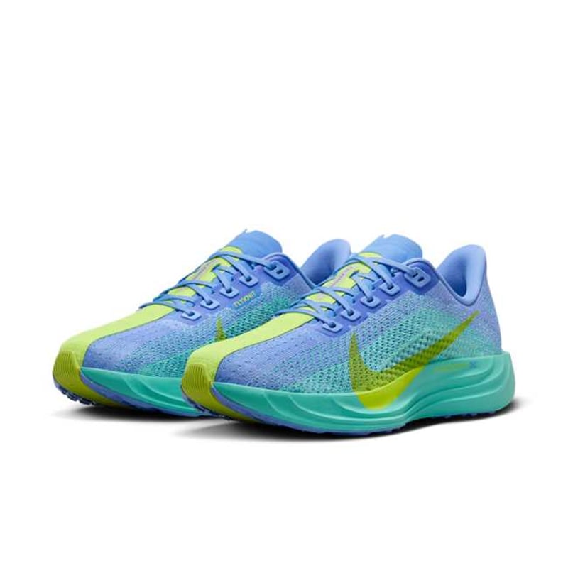 Nike Pegasus Plus FQ7261-401 05