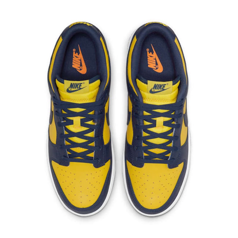 Nike Dunk Low DD1391-700 04